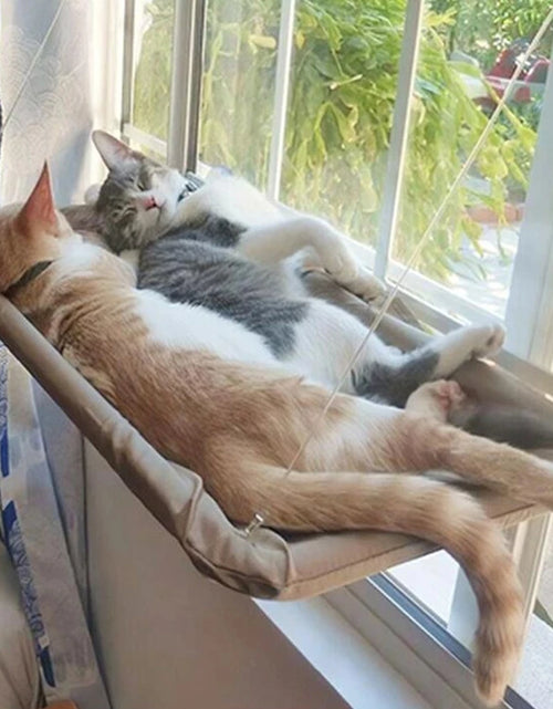 Load image into Gallery viewer, Hanging Cat Bed Pet Cat Hammock Aerial Cats Bed House Kitten Climbing Frame Sunny Window Seat Nest Bearing 20Kg Pet Winter
