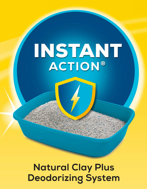 Load image into Gallery viewer, Purina  Instant Action Clumping Cat Litter, Floral Scent, 20 Lb Jug
