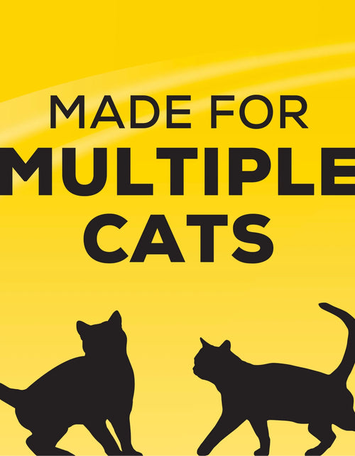 Load image into Gallery viewer, Purina  Instant Action Clumping Cat Litter, Floral Scent, 20 Lb Jug
