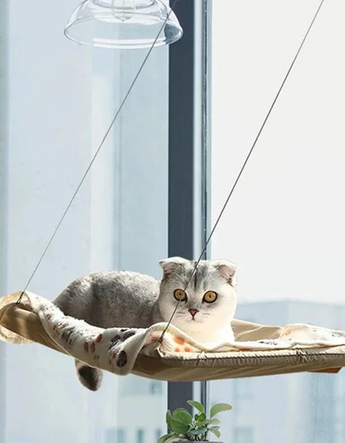 Load image into Gallery viewer, Hanging Cat Bed Pet Cat Hammock Aerial Cats Bed House Kitten Climbing Frame Sunny Window Seat Nest Bearing 20Kg Pet Winter
