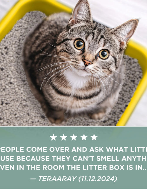 Load image into Gallery viewer, Purina  Free and Clean Clumping Cat Litter, Unscented, 35 Lb Pail
