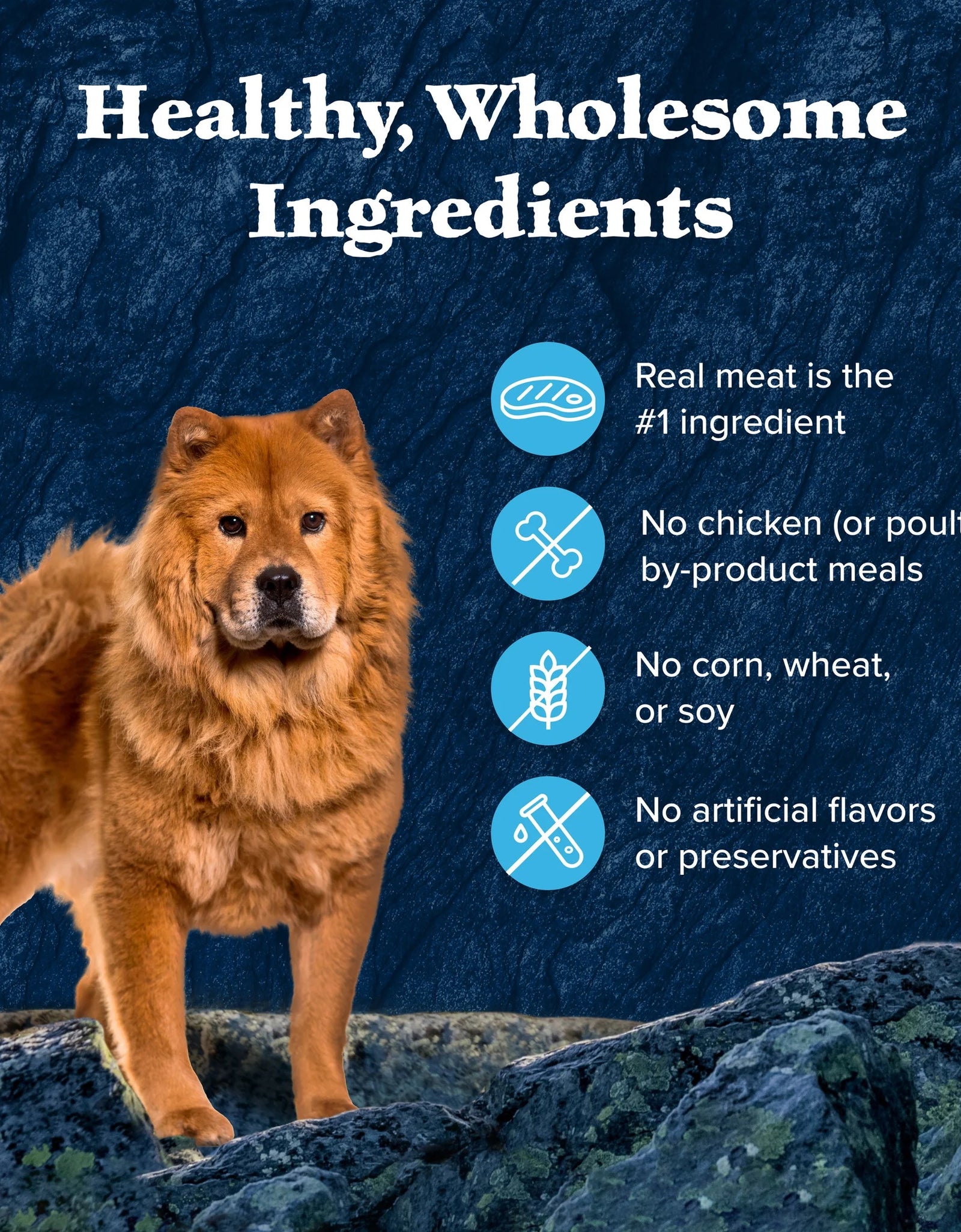 Wilderness Wild Cuts Wet Dog Food Toppers, Chicken & Beef, 3-Oz. (12 Count)